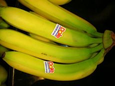 Bananen2.JPG